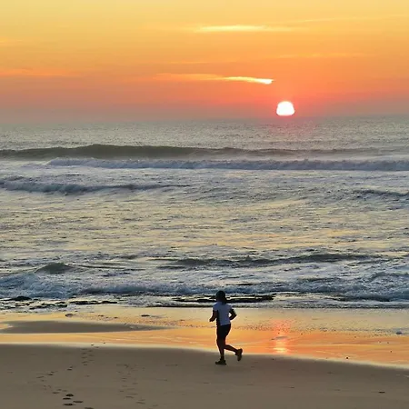 Moinho Do Avo Joao 別荘 *